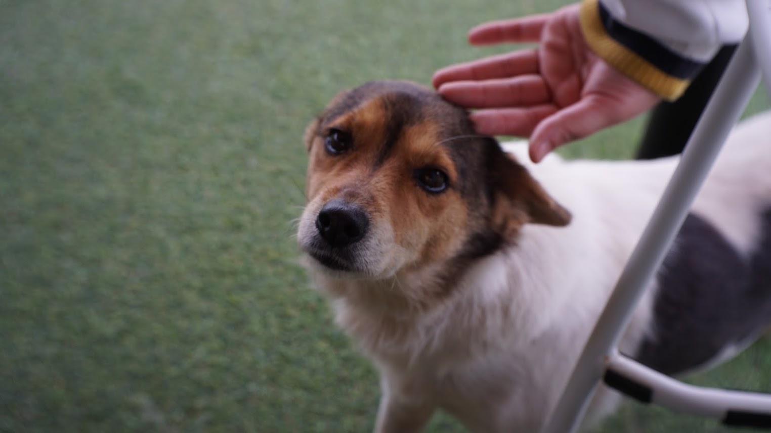 커피와 달콤한 디저트