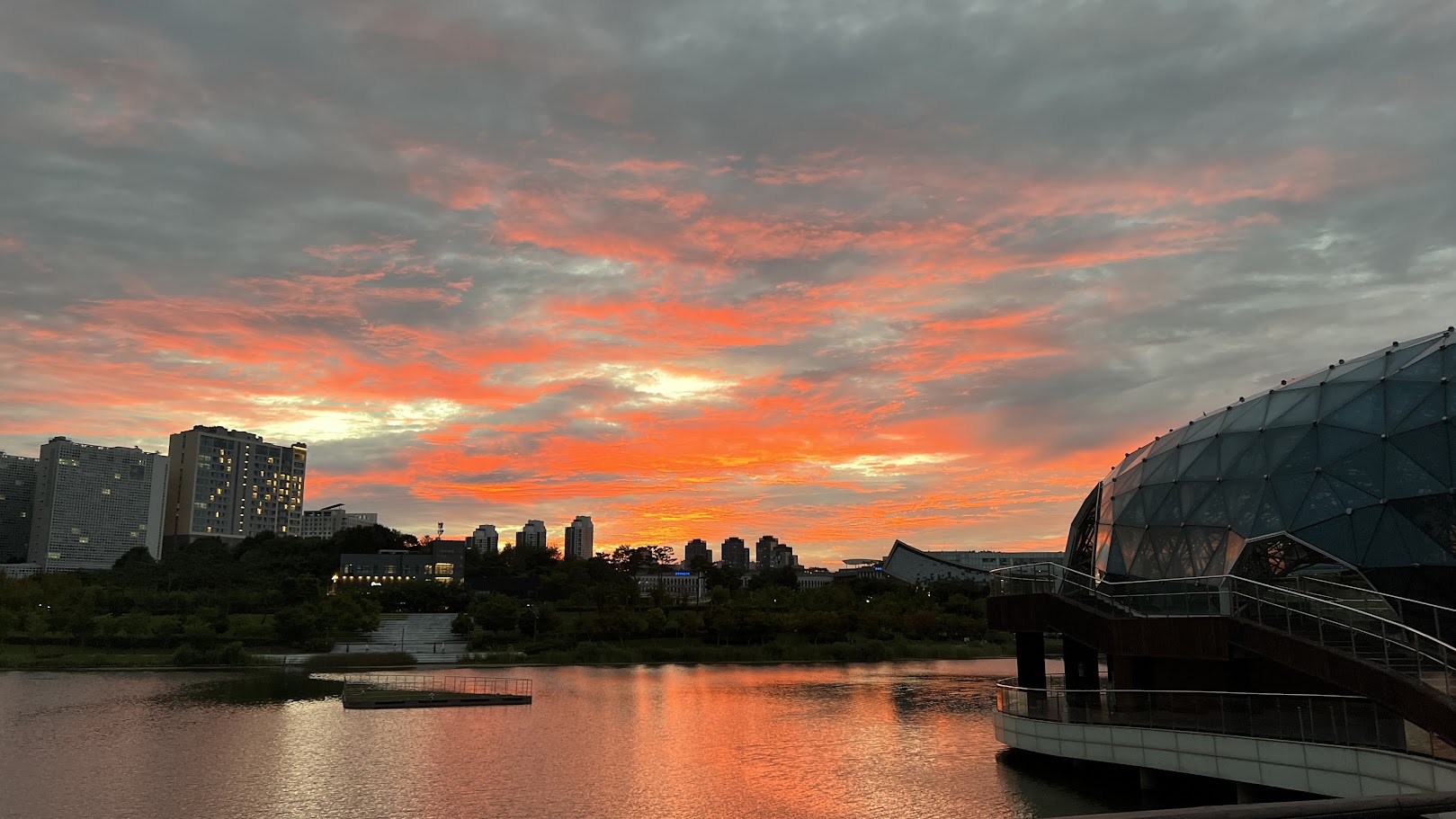 세종 야외 데이트